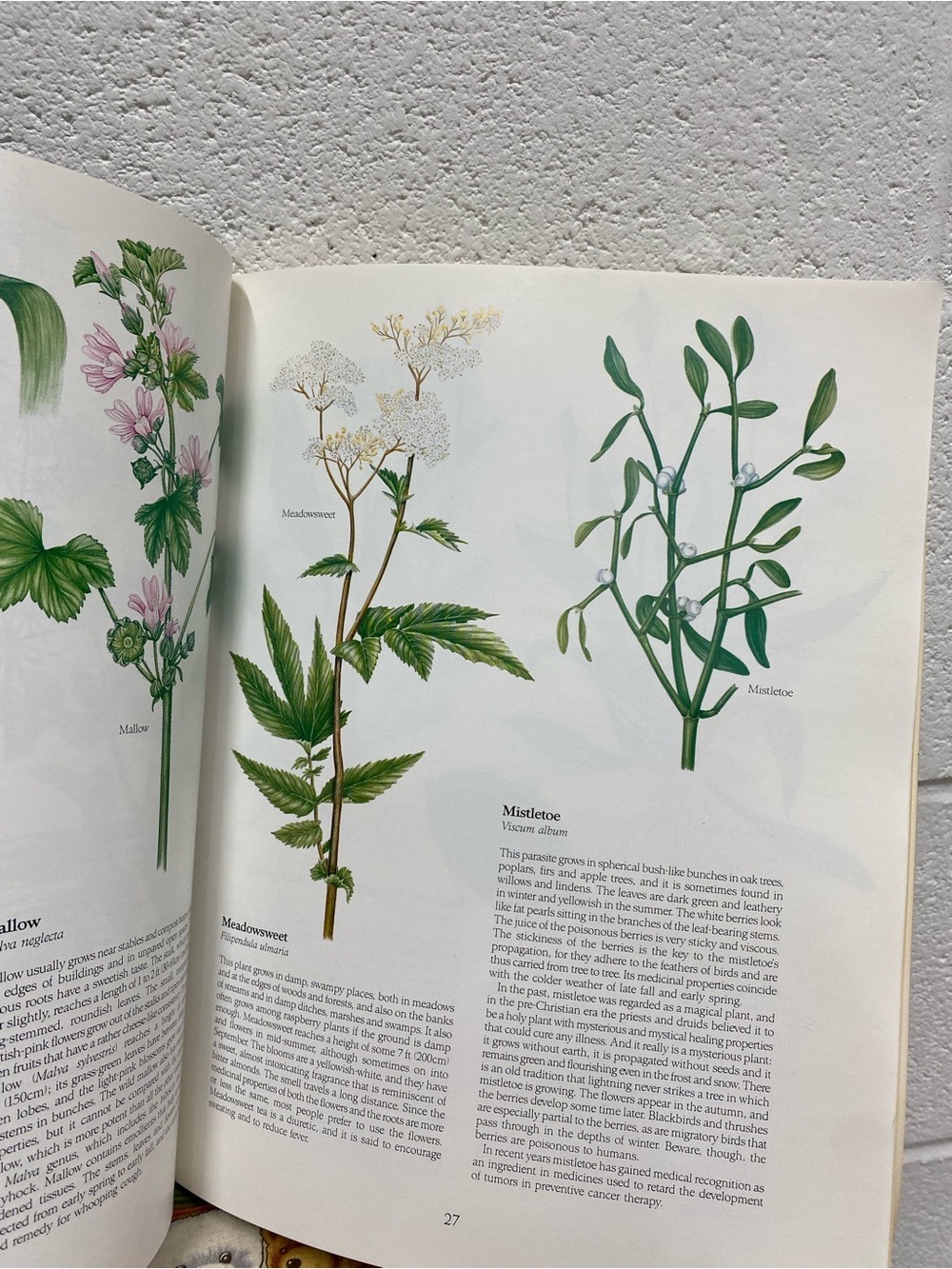 paperback copy of the book Health from God's Garden by Maria Treben - Picture 3 of 15